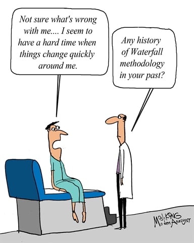 Humor - Cartoon: What's Wrong with this Business Analyst